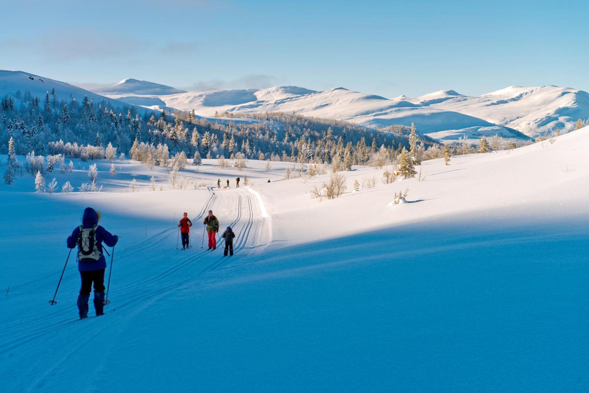 Spidsbergseter Resort Rondane Venabygd Extérieur photo