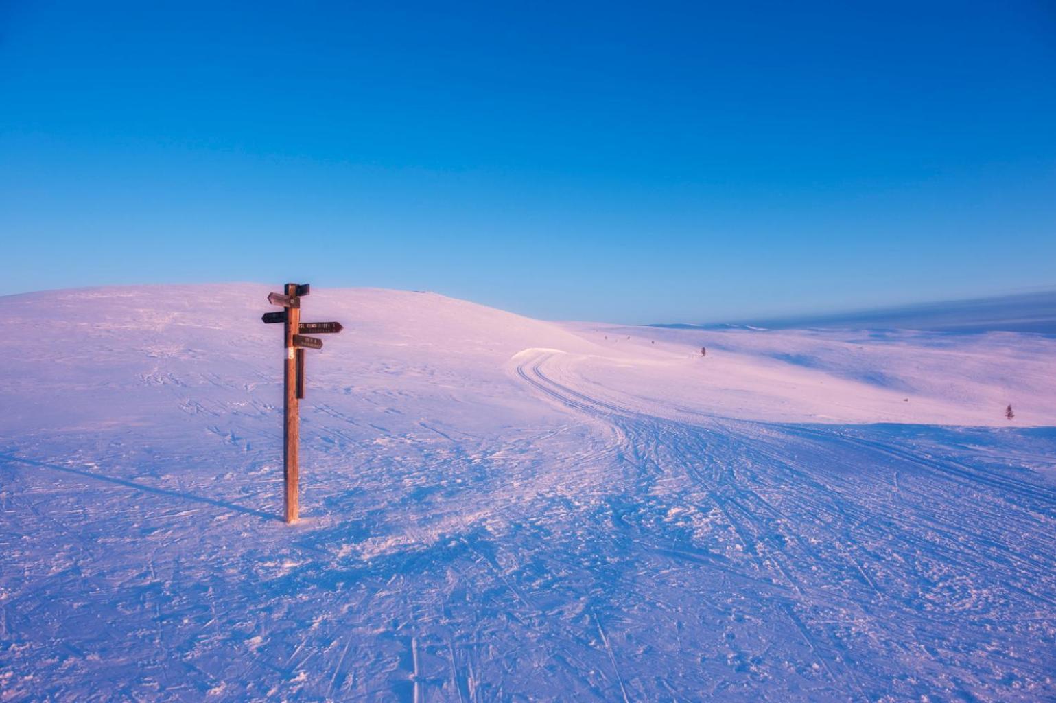 Spidsbergseter Resort Rondane Venabygd Extérieur photo