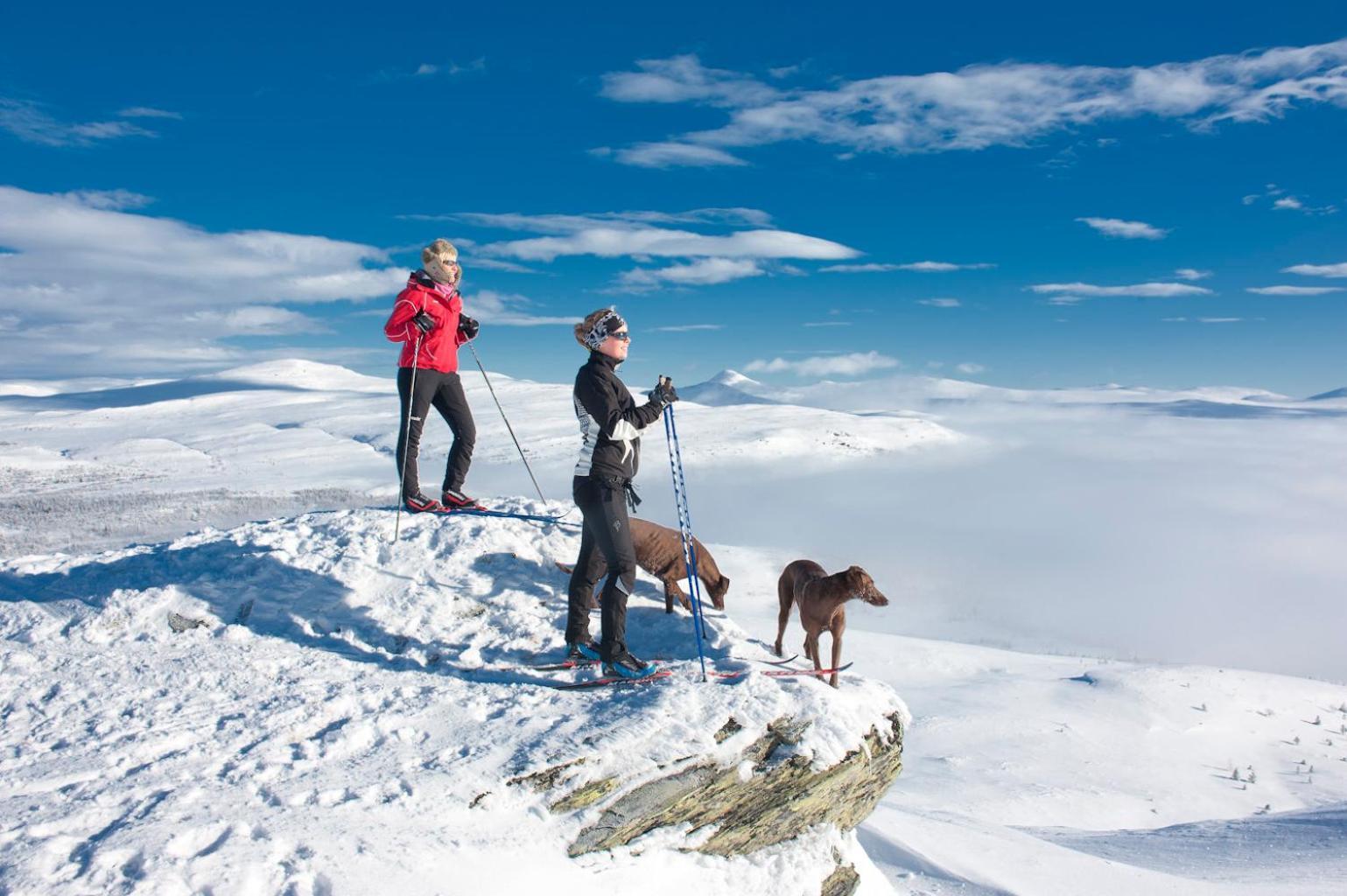 Spidsbergseter Resort Rondane Venabygd Extérieur photo