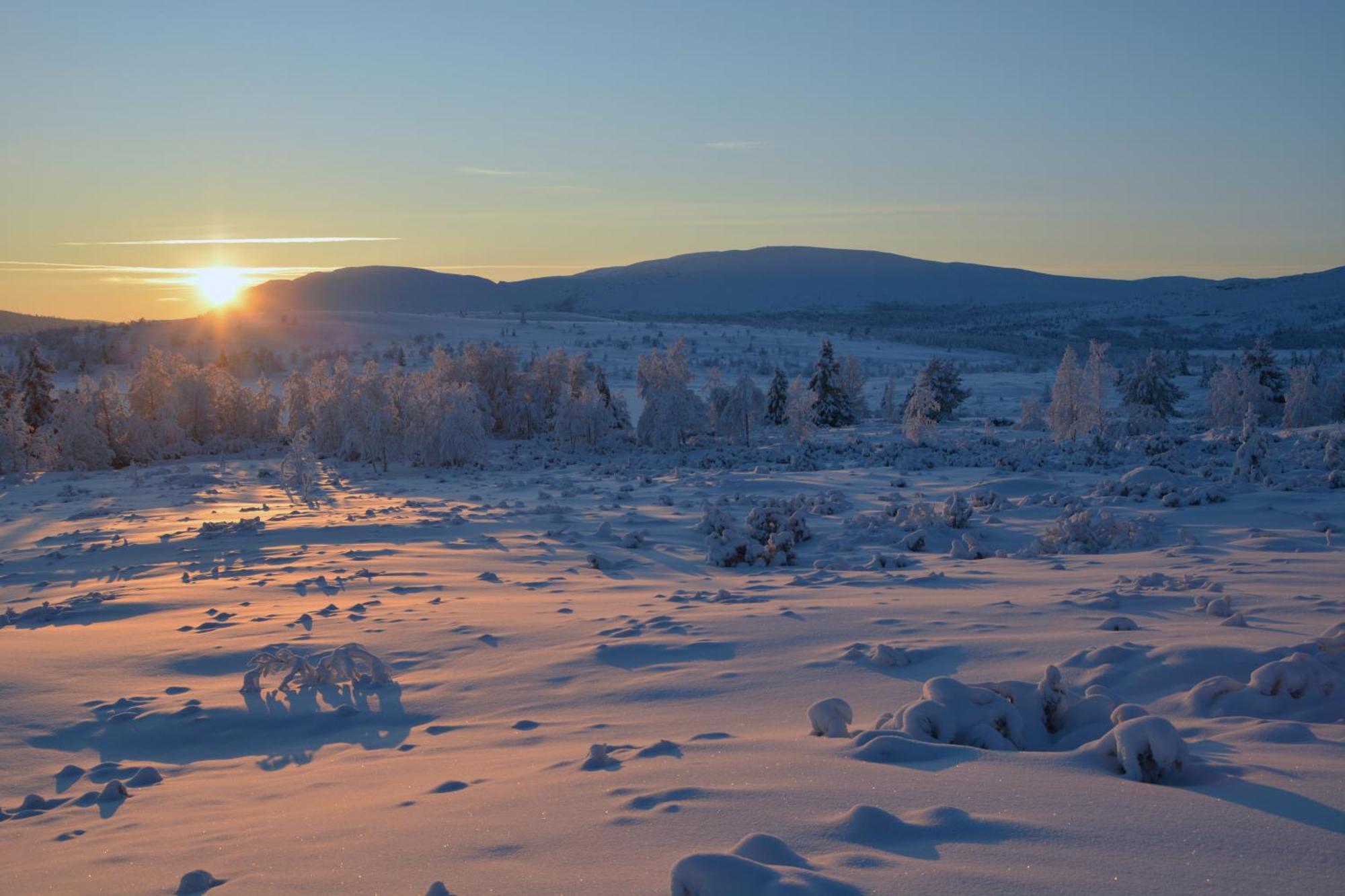 Spidsbergseter Resort Rondane Venabygd Extérieur photo