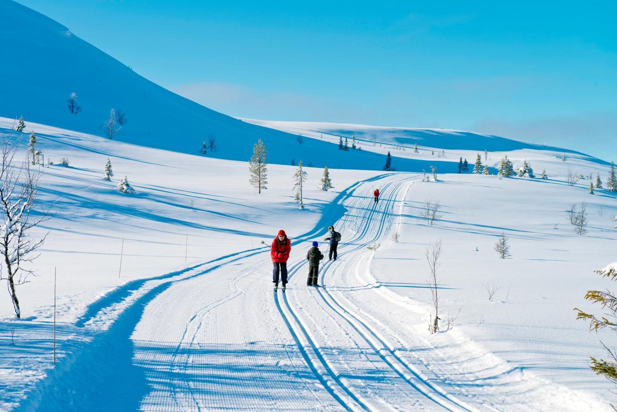 Spidsbergseter Resort Rondane Venabygd Extérieur photo